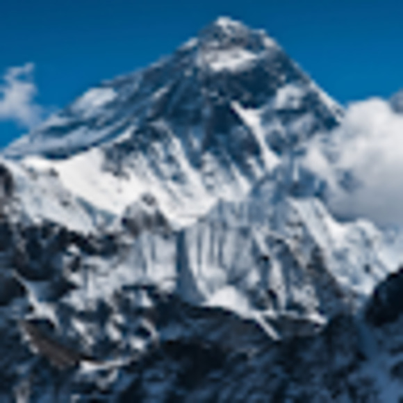 Meet your Posher, Efa - Picture 1 of 1